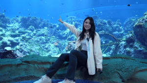 EL REINO OCEÁNICO DE CHIMELONG DE CHINA ADOPTA LA INMERSIÓN PARA CREAR UN TURISMO CULTURAL CON UN TOQUE PREMIUM