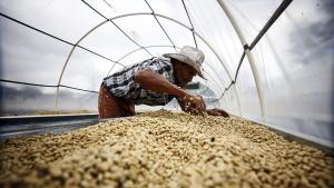 CHINA Y AMÉRICA LATINA UNIDOS: CONSTRUYENDO JUNTOS UN CAMINO CONTRA LA POBREZA MEDIANTE LA COOPERACIÓN PRÁCTICA