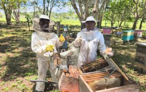 APICULTORES PRODUCEN 840 LIBRAS DE MIEL CON APOYO TÉCNICO DEL MAGA