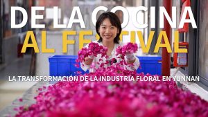 DE LA COCINA AL FESTIVAL: LA TRANSFORMACIÓN DE LA INDUSTRIA FLORAL EN YUNNAN